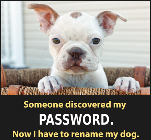 Photo of a dog, caption: "Someone discovered my password. Now I have to rename my dog."