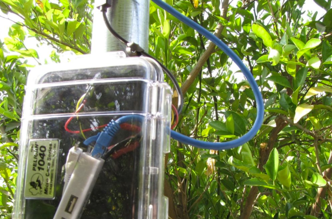 UCSB SmartFarm sensor approximately 5 feet off the ground surrounded by citrus will help UC researchers know when to turn on windfans to protect plants from frost.