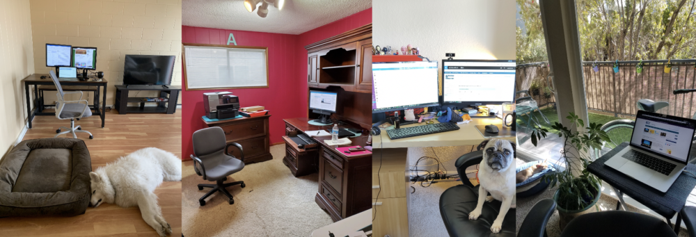 At-home workstations around UC, four photos