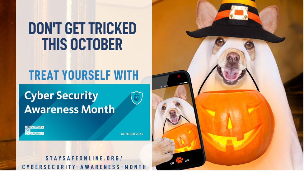 A dog holding a cell phone and a jack-o-lantern bucket, Cyber Security Awareness Month (CSAM)