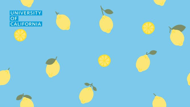 Zoom background - lemons